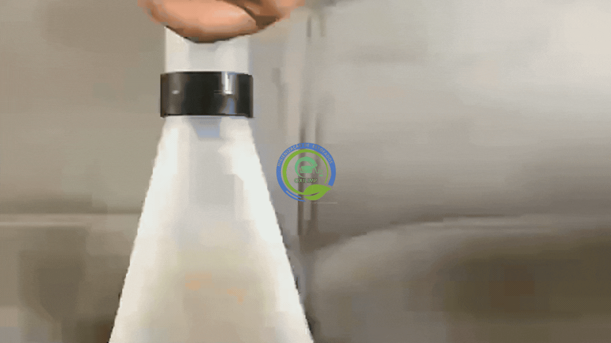 Higienização Profissional