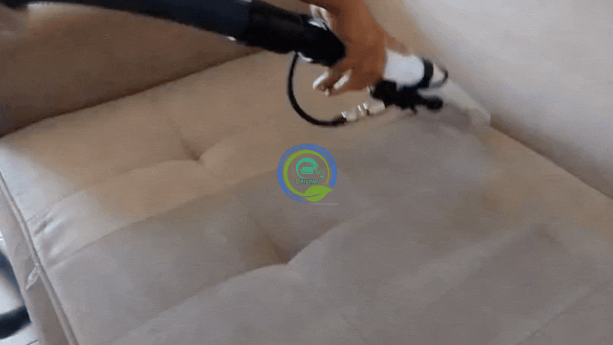 Limpeza Especializada